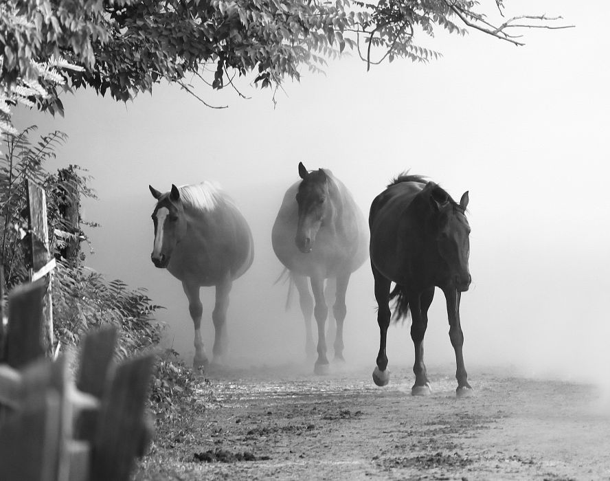 Fotóalbumot karácsonyra Fotóalbumot karácsonyra