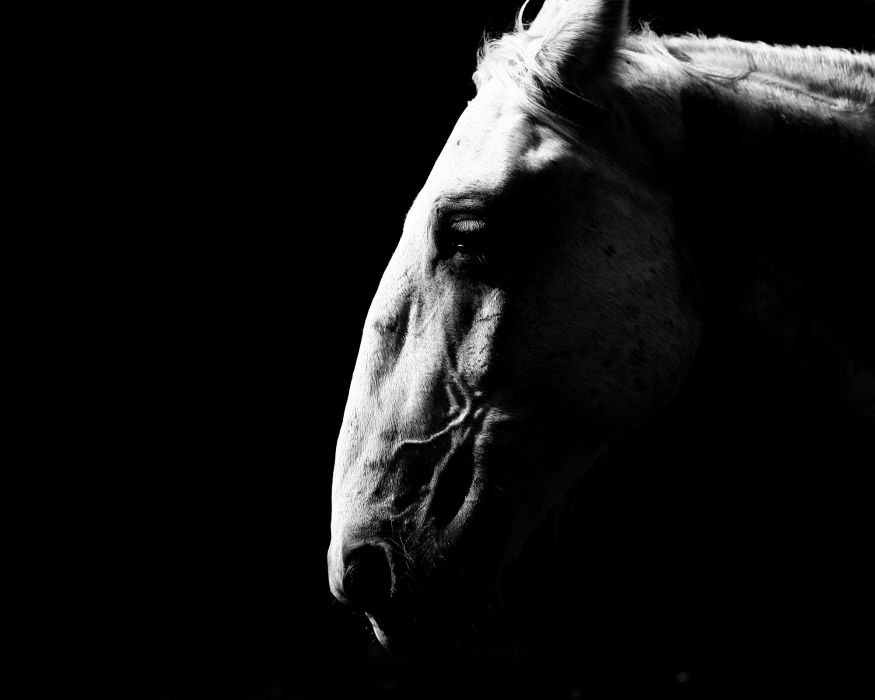 Fotóalbumot karácsonyra Fotóalbumot karácsonyra