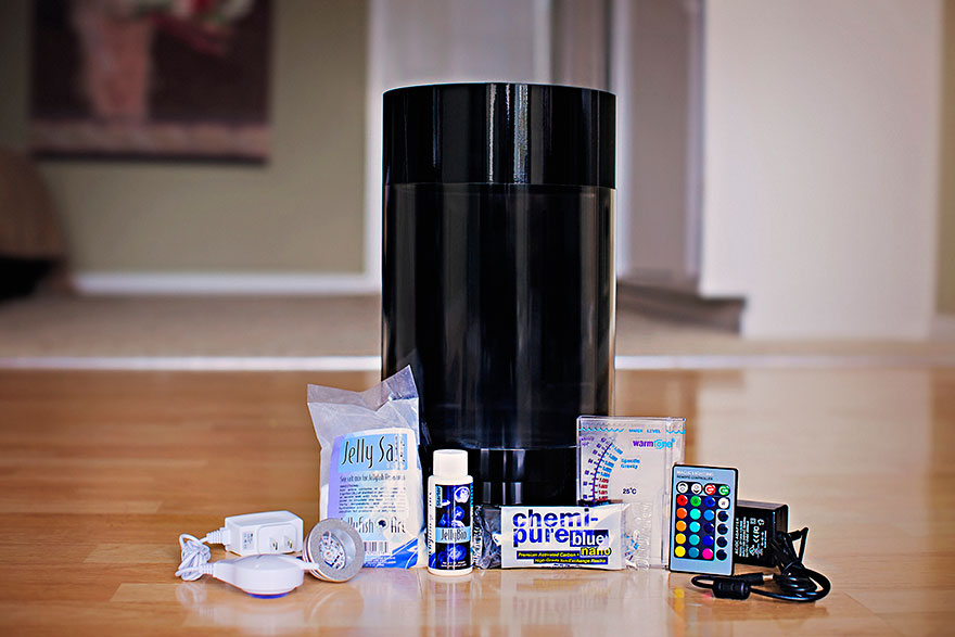 Már te is nevelhetsz otthon medúzát!