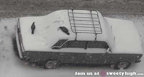 15 vicces jeges és havas gif, amin garantáltan te is nevetni fogsz 15 vicces jeges és havas gif, amin garantáltan te is nevetni fogsz