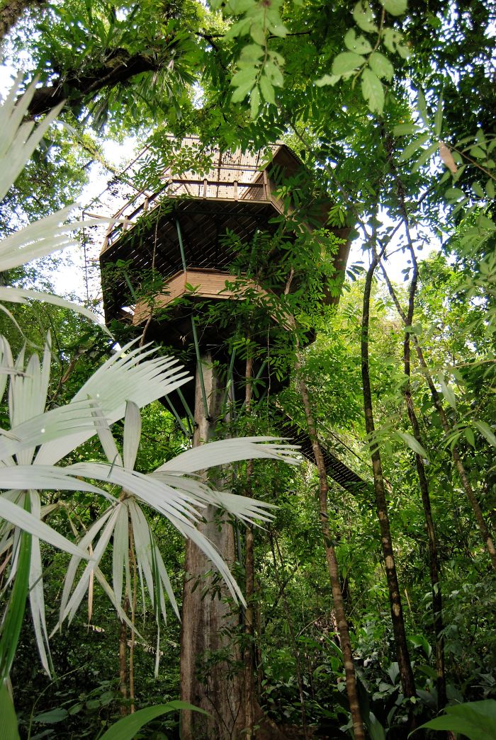 A világ 10 legszebb és legkülönlegesebb lombháza