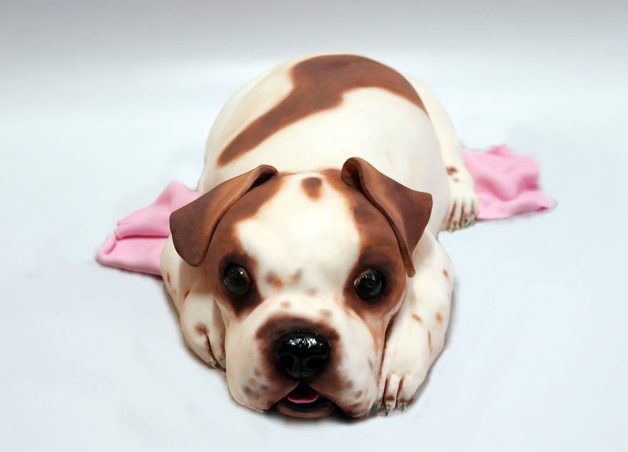 Bármiből édességet formáz a tehetséges tortaszobrász - fotók