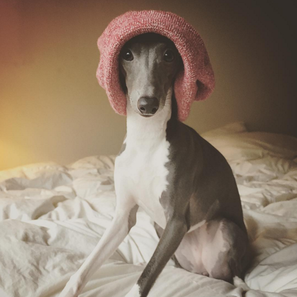 18 dolog, amit csak a fázós lányok érthetnek meg télen