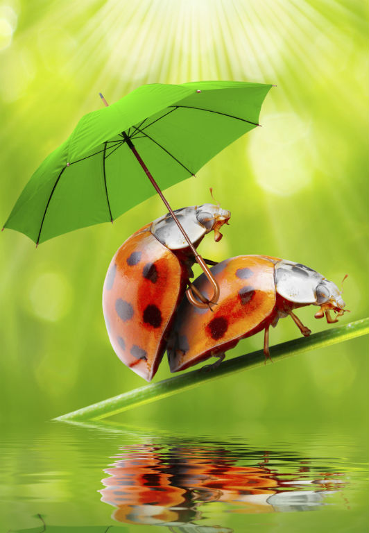 Üzekedő oroszlánok és zöld fejű szörnyasszony - neked is ez jut eszedbe a szexről?