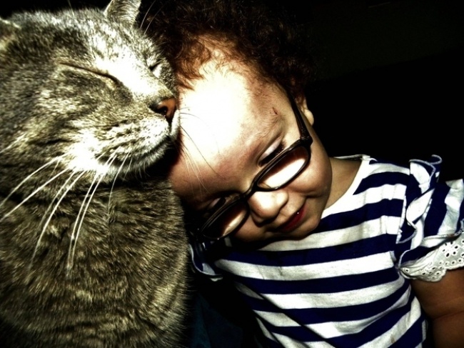 17 szívmelengetően megható macskás fotó 17 szívmelengetően megható macskás fotó