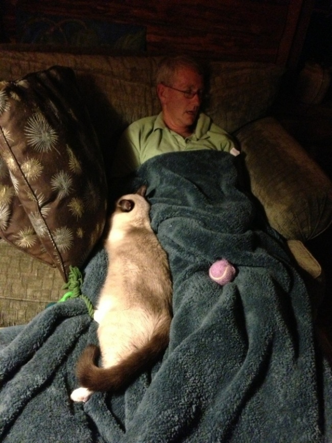 17 szívmelengetően megható macskás fotó 17 szívmelengetően megható macskás fotó