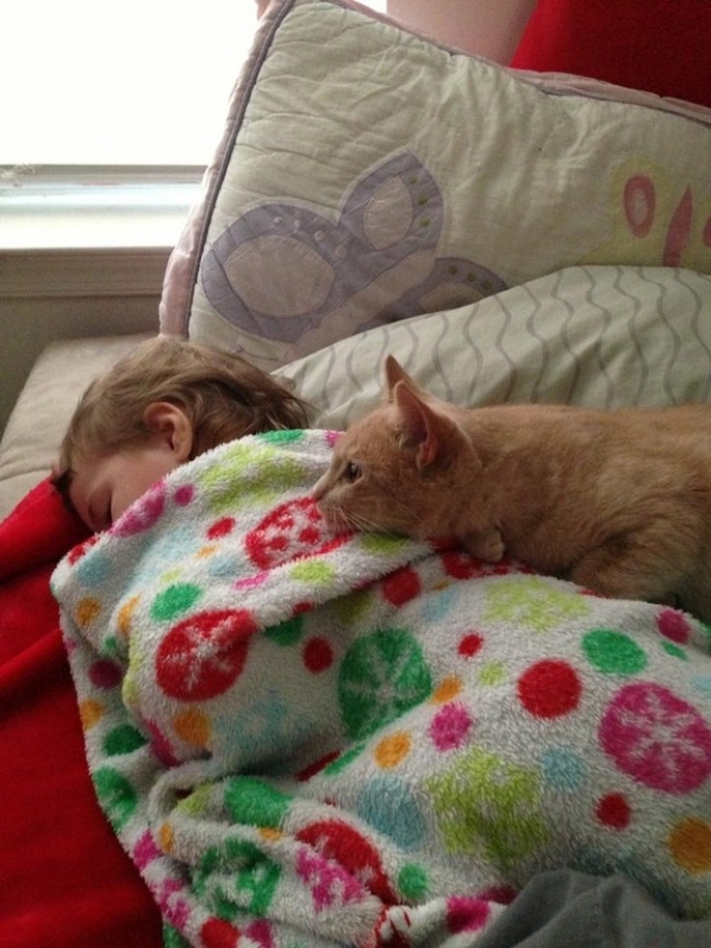 17 szívmelengetően megható macskás fotó 17 szívmelengetően megható macskás fotó