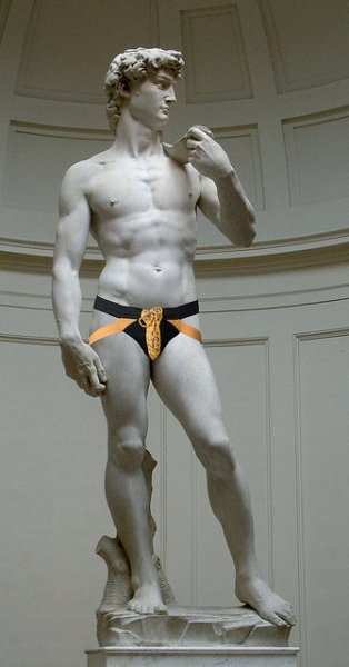 A férjed gyógynövénye: kisvirágú füzike