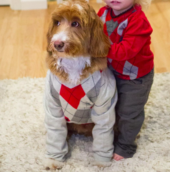 Cukiság: összeöltözik a kutyus és a baba Cukiság: összeöltözik a kutyus és a baba