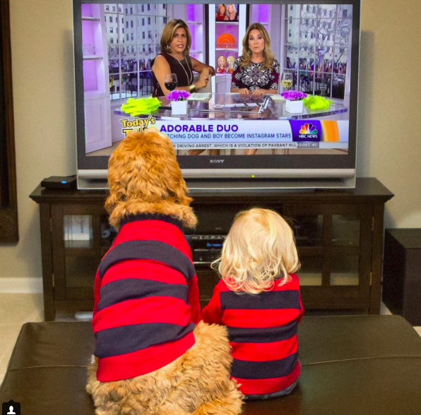 Cukiság: összeöltözik a kutyus és a baba Cukiság: összeöltözik a kutyus és a baba