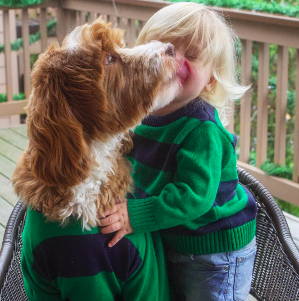 Cukiság: összeöltözik a kutyus és a baba Cukiság: összeöltözik a kutyus és a baba