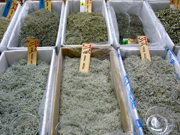 17 őrült étel, amit a japánok szívesen fogyasztanak 17 őrült étel, amit a japánok szívesen fogyasztanak