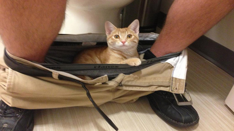 10 állat, akik még hírből sem ismerik a privát szféra fogalmát 10 állat, akik még hírből sem ismerik a privát szféra fogalmát