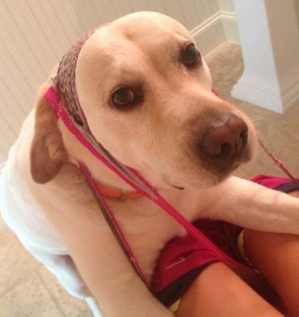 10 állat, akik még hírből sem ismerik a privát szféra fogalmát 10 állat, akik még hírből sem ismerik a privát szféra fogalmát