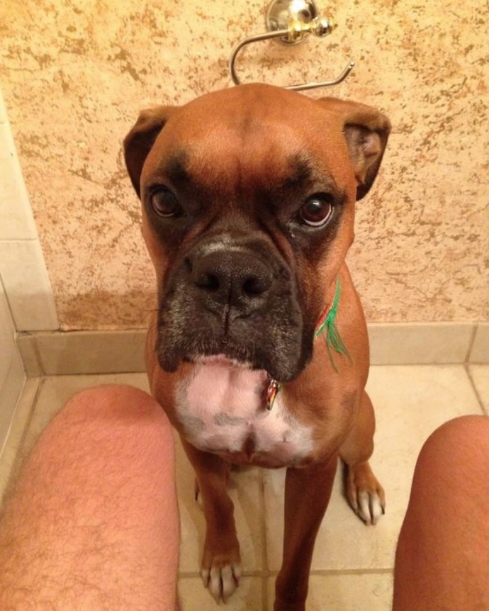 10 állat, akik még hírből sem ismerik a privát szféra fogalmát 10 állat, akik még hírből sem ismerik a privát szféra fogalmát