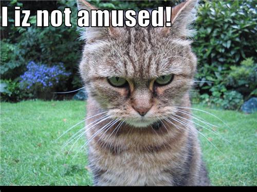 Mindent elmondt az arckifejezés...