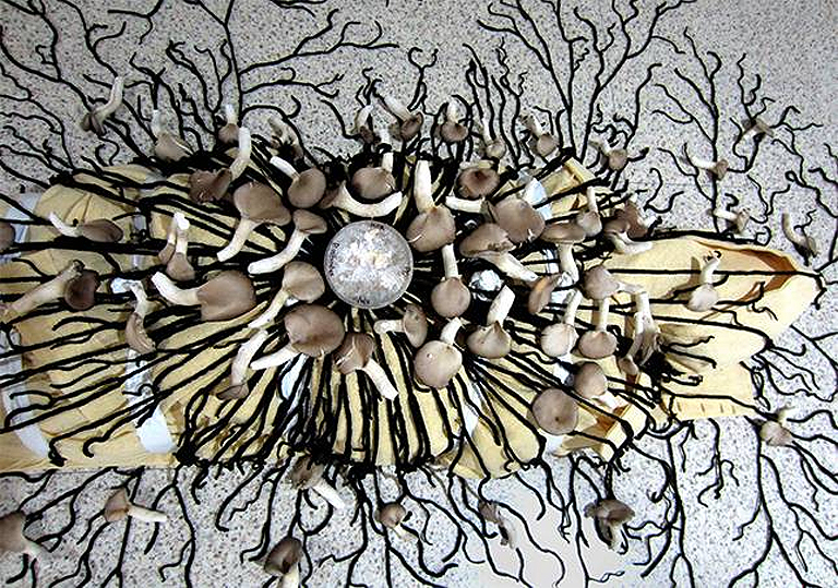 Az Infinity Mushroom Suit működési elve