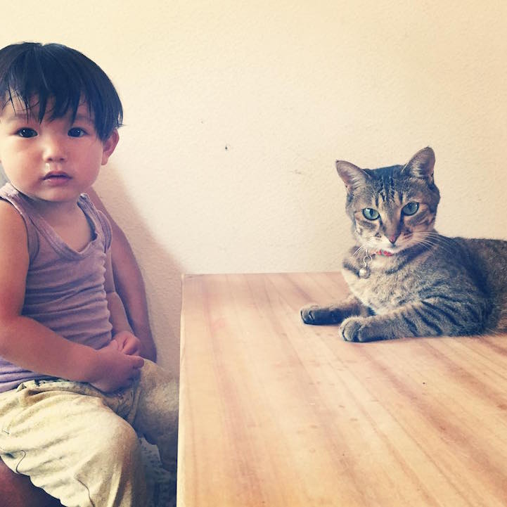 Cukiság: évek óta őrzi a kisgyerek álmát a hűséges cica Cukiság: évek óta őrzi a kisgyerek álmát a hűséges cica