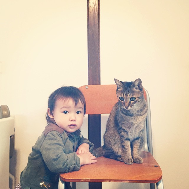 Cukiság: évek óta őrzi a kisgyerek álmát a hűséges cica Cukiság: évek óta őrzi a kisgyerek álmát a hűséges cica