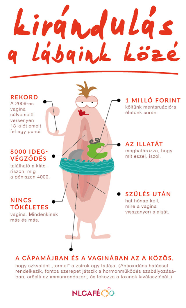 Ettől függ a puncid illata