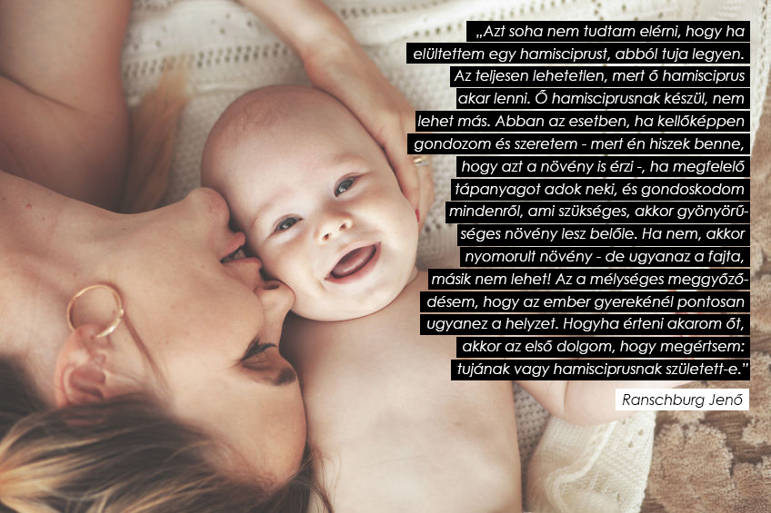 Kedvenc gondolatébresztő idézeteink Kedvenc gondolatébresztő idézeteink