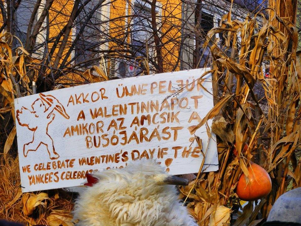 10 apróság azoknak, akik utálják a Valentin napot