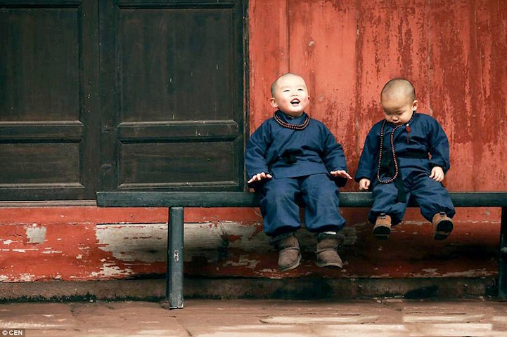 Tündéri bébi szerzeteseket imád az internet - fotók