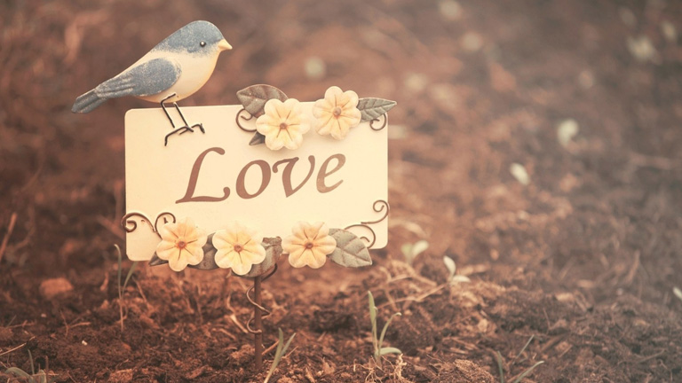 5 háttérkép a gépedre, ami feldobja a napodat