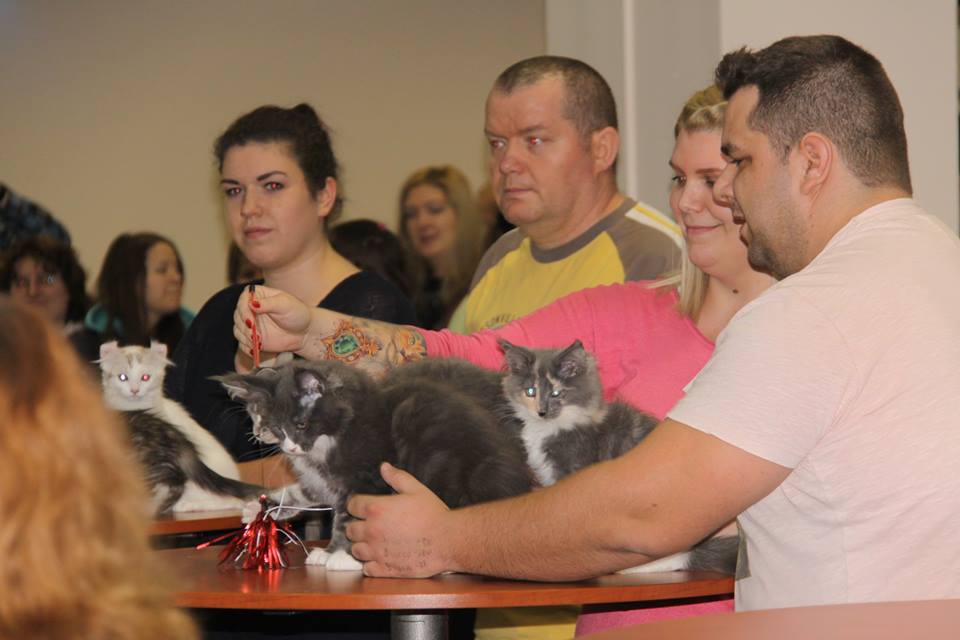 A legifjabb korosztály