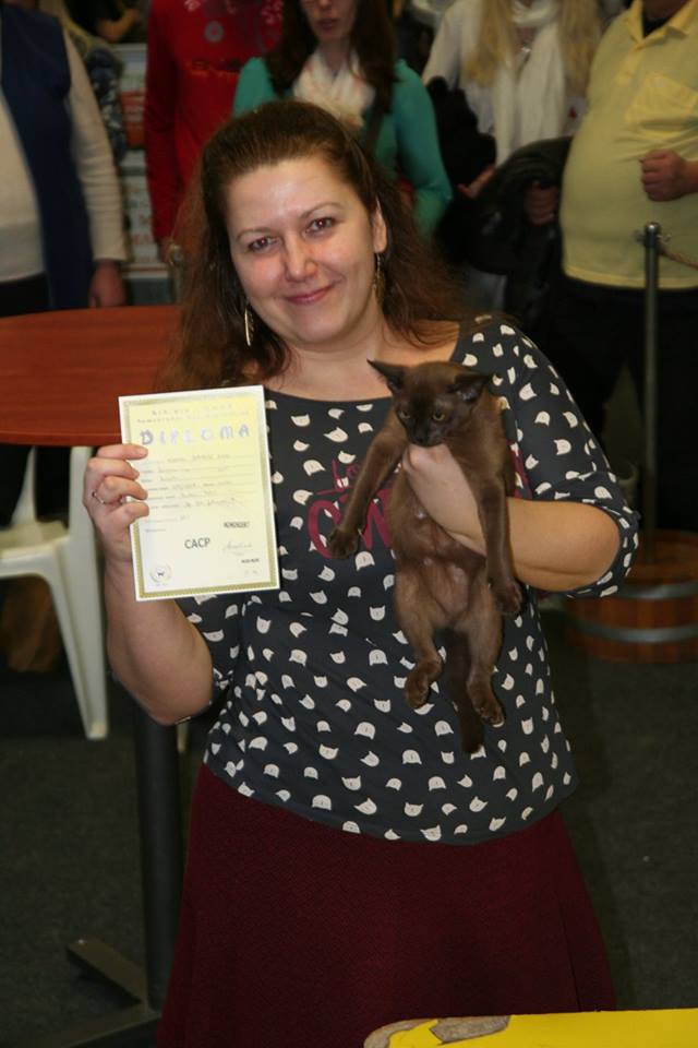 A győztes cica 4 hónapos kisöccse, Kókusz első diplomájával