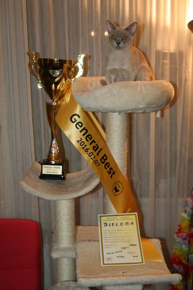 A bajnok otthoni környezetben (Fotó: Pacher Péter)