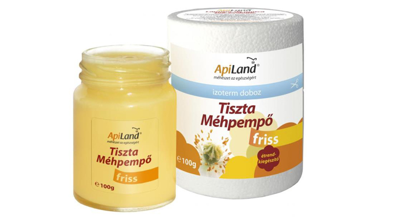 A tél jön és megy ... A tél jön és megy ...