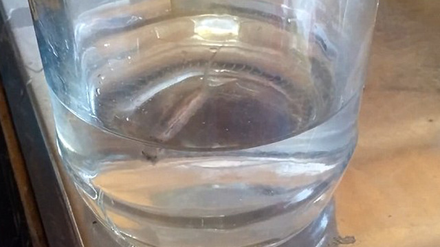 Bizarr élőlény bukkant elő a csapból