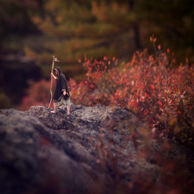 Elrepít Csodaországba a tizenéves fotós zseni