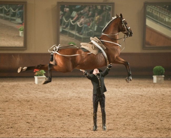 Ezeknél az elkapott állatos pillanat képeknél jobbat már nem láthatsz