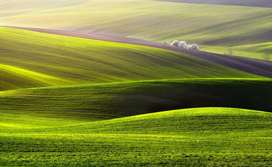 Lengyelország mezői lenyűgöző képeken - fotók Lengyelország mezői lenyűgöző képeken - fotók