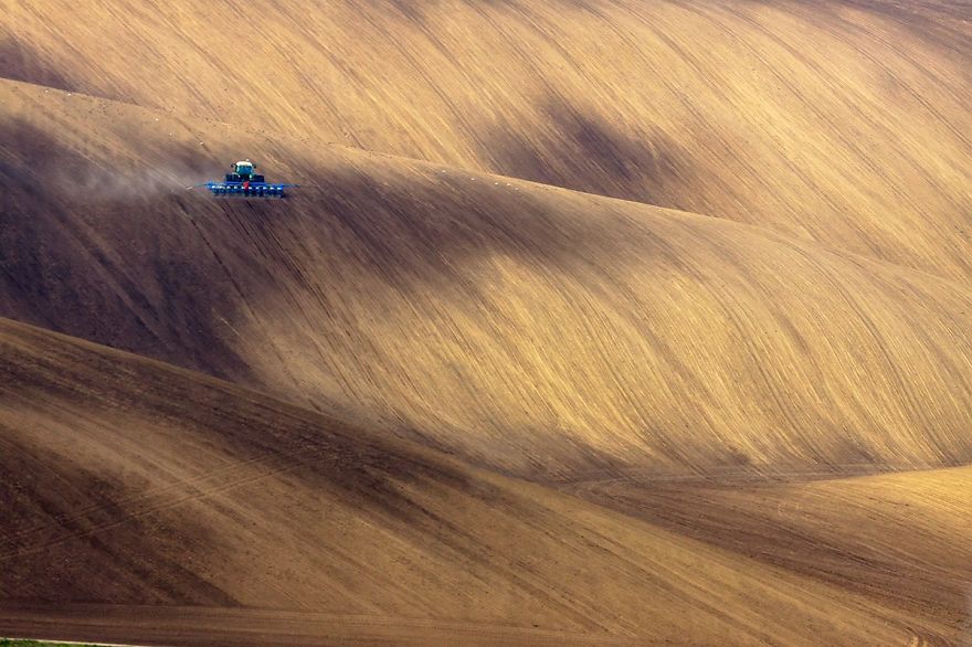 Lengyelország mezői lenyűgöző képeken - fotók Lengyelország mezői lenyűgöző képeken - fotók