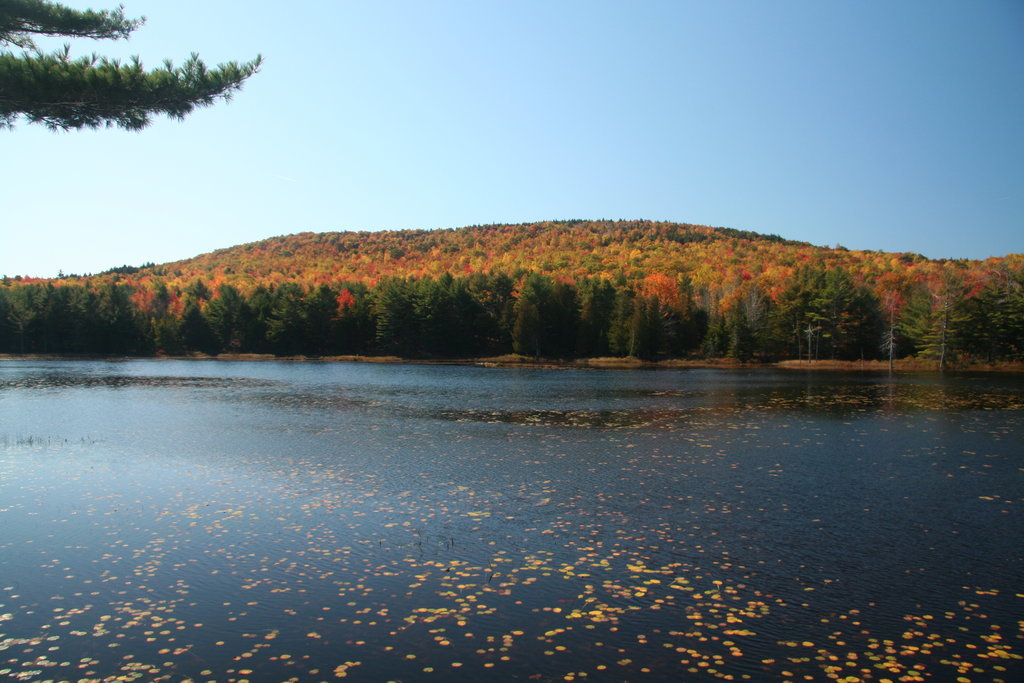 15 csodás amerikai nemzeti park, amit neked is látnod kell - képek