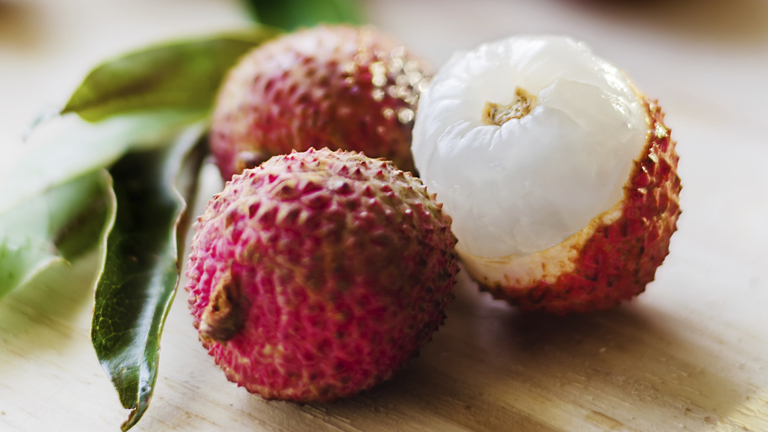 Mit érdemes tudni a Saccharomyces boulardii nevű élesztőgombáról?