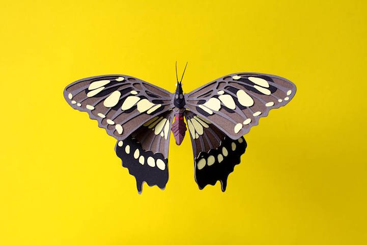 Lélegzetelállító papírállatokat készít egy művész Lélegzetelállító papírállatokat készít egy művész