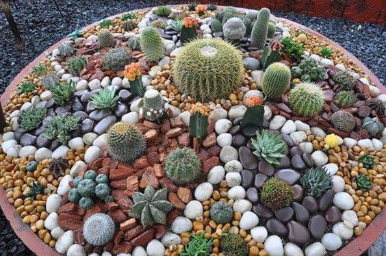 Kerti trend 2016: a prérikertek és a szárazságtűrő növények éve