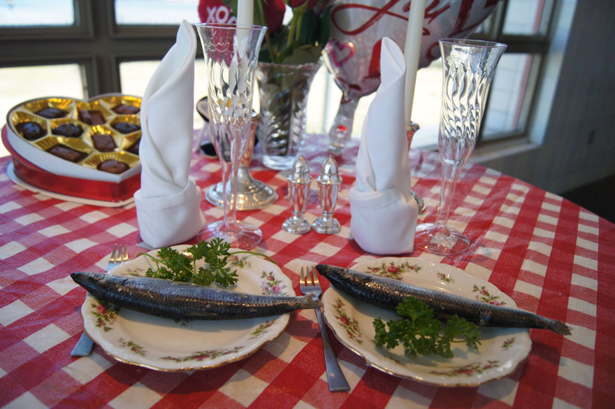 22. Valentin-napját ünnepelte a pingvinpár!