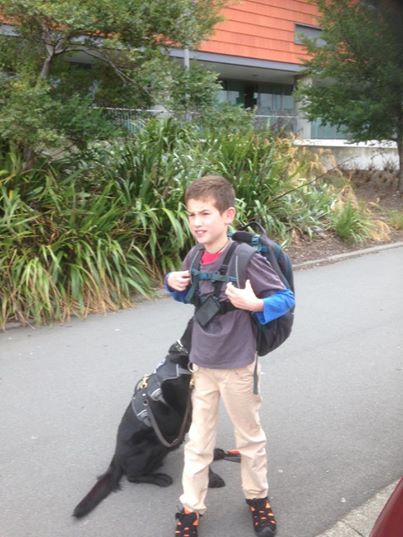 A kórházban sem tágít kis gazdája mellől a hűséges kutya - megható fotók A kórházban sem tágít kis gazdája mellől a hűséges kutya - megható fotók