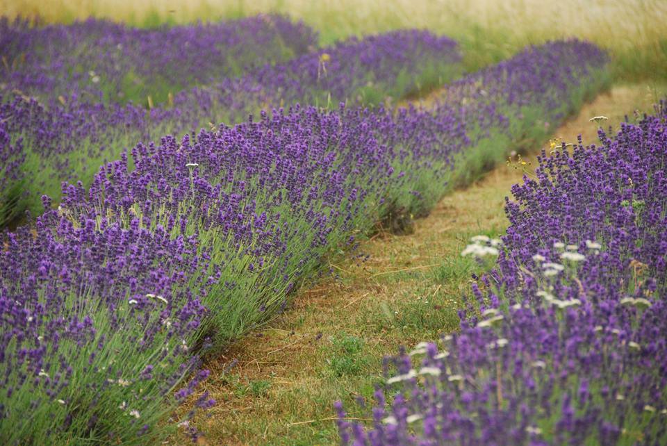 Húsvéti hosszú hétvége - Nehogy otthon maradj!