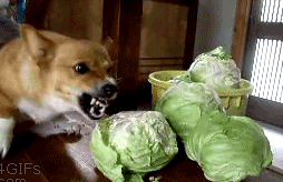 Szükségem van a függőségeimre, úgyhogy leszoktam a leszokásról