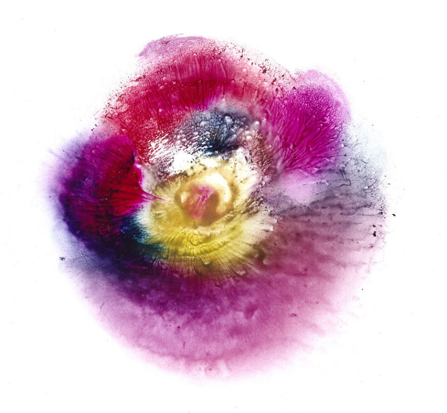 Mellek lenyomatával készít csodás festményeket