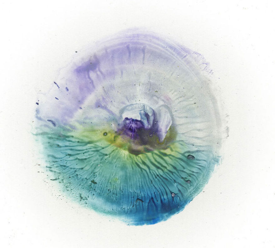 Mellek lenyomatával készít csodás festményeket