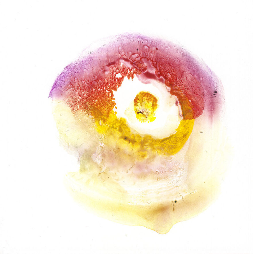 Mellek lenyomatával készít csodás festményeket