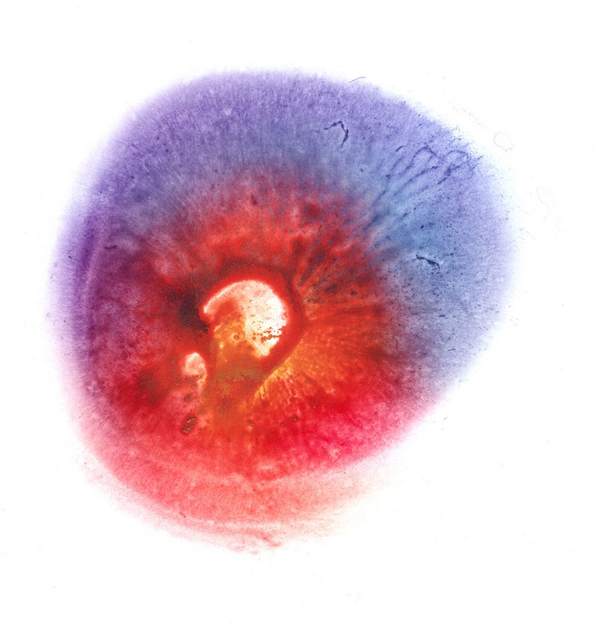 Mellek lenyomatával készít csodás festményeket