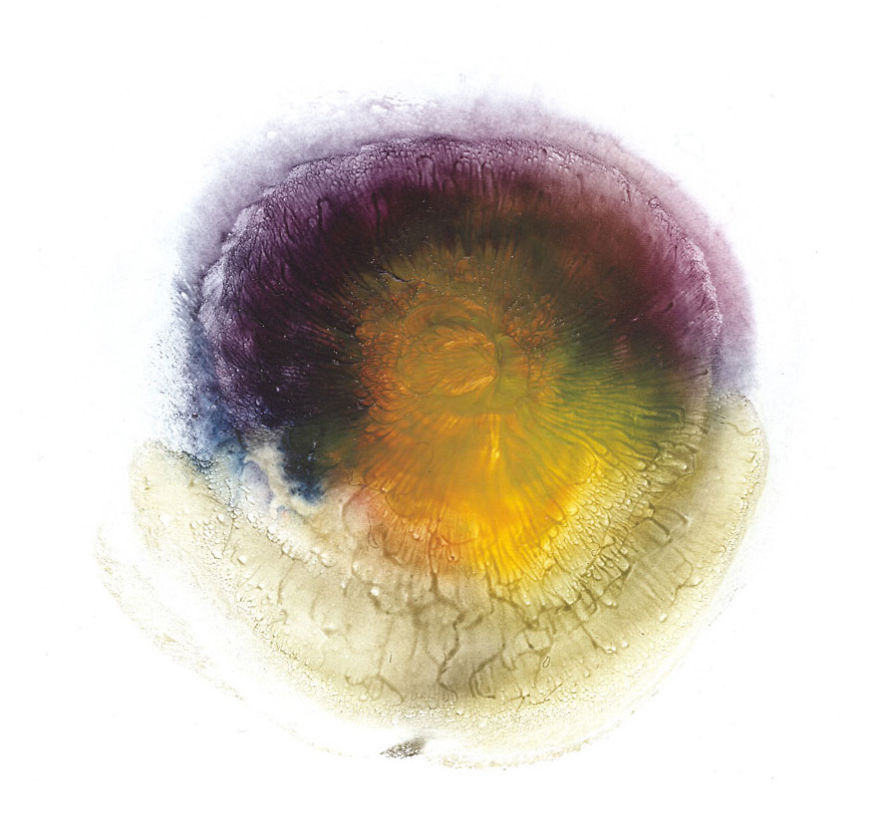 Mellek lenyomatával készít csodás festményeket